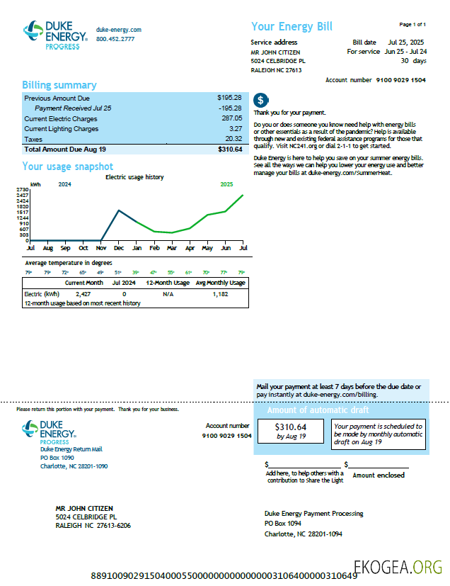 USA Duke Energy utility bill template in Word and PDF formats, version 3